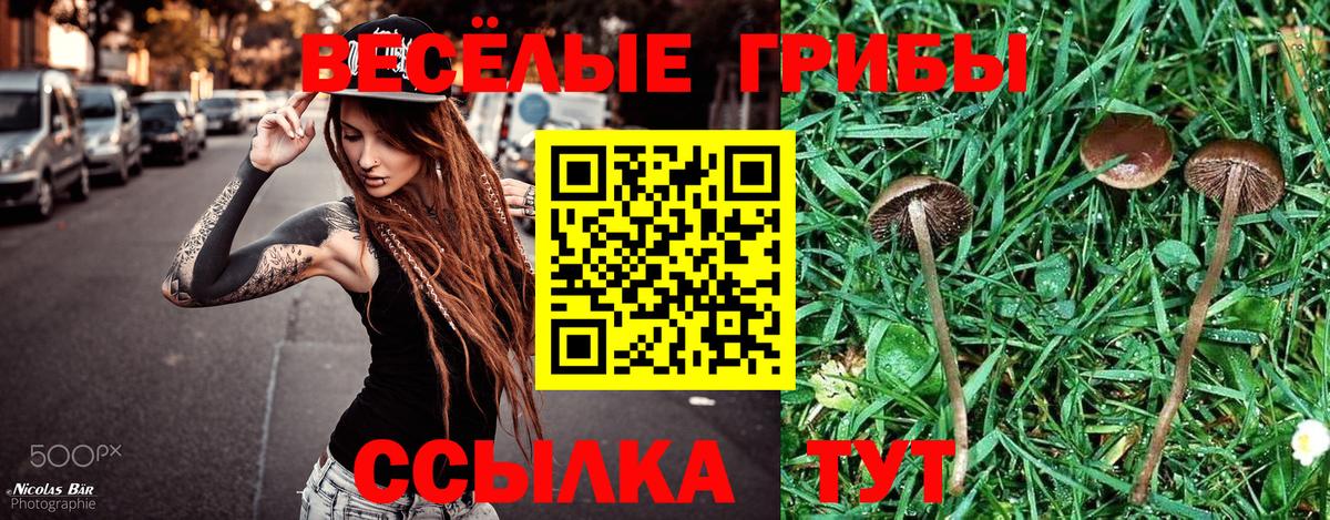 Галлюциногенные грибы прущие грибы  Псилоцибиновые грибы мицелий  Вход с VPN  Красноярск 